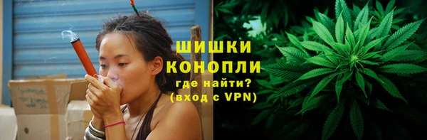 спайс Касимов