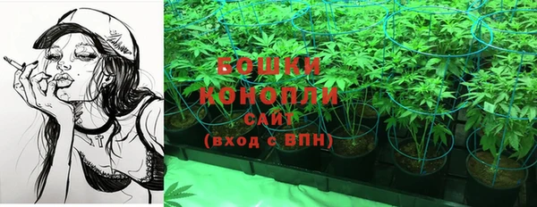 спайс Касимов