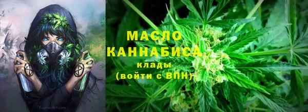сатива Инсар