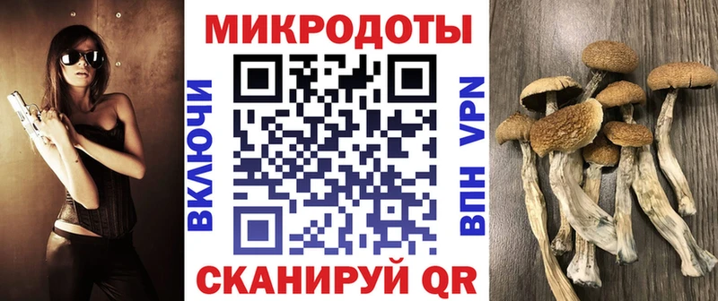 Псилоцибиновые грибы Cubensis Красноармейск